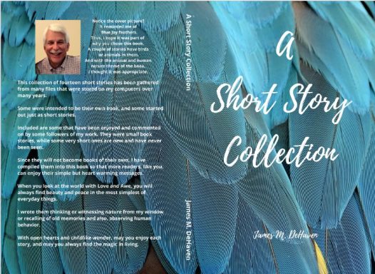 A Collection of 15 Short Stories. All are sure to make you feel good.